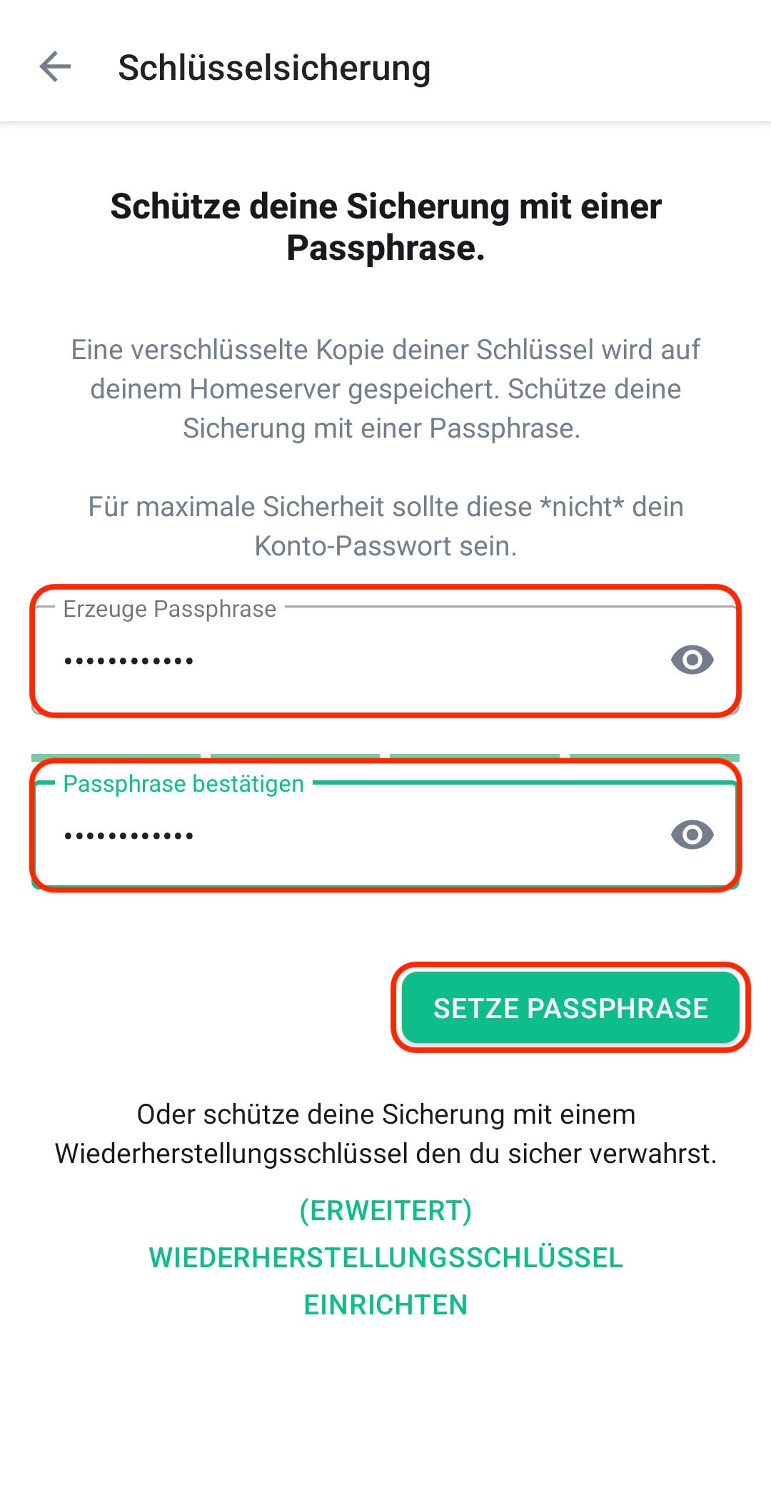 Elfter Schritt zur Anmeldung von Element unter Android