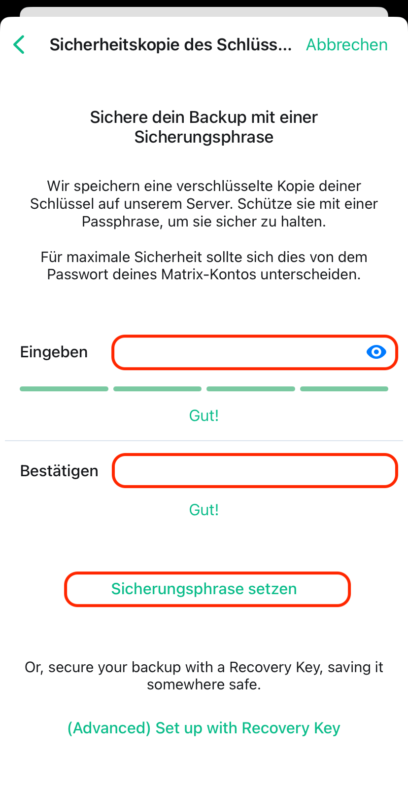 Zehnter Schritt zur Anmeldung von Element unter iOS